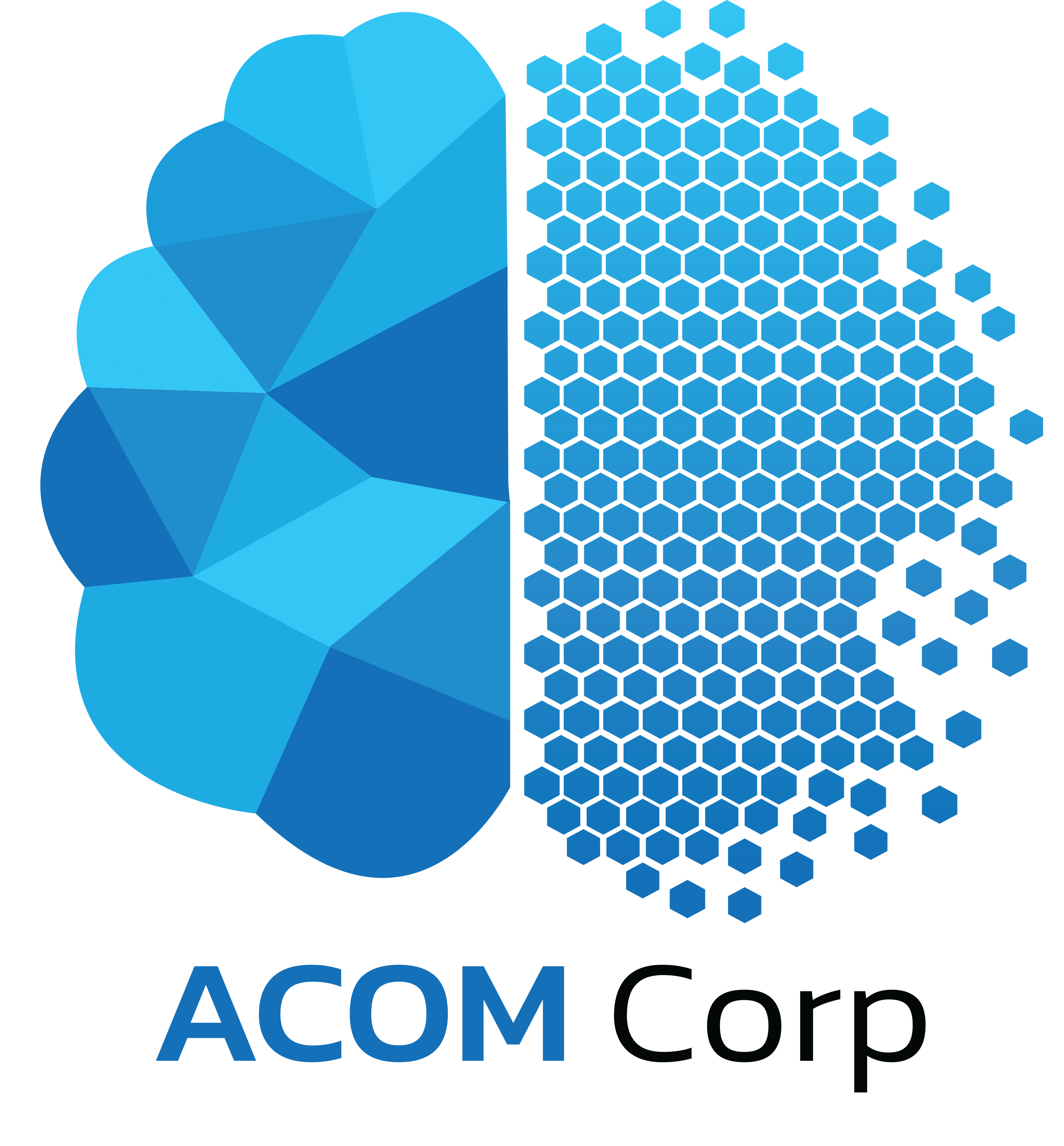 Acom Corp
