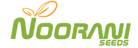 NOORANI SEEDS