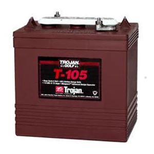 ing-a-trojan-battery-type-battery-t-105-109868