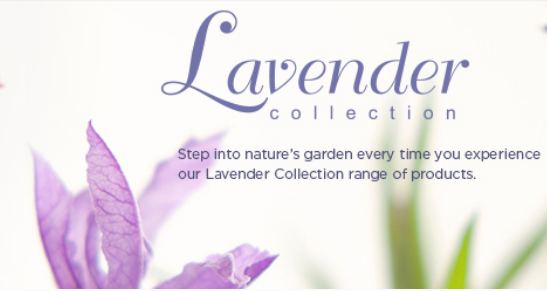lavender-collection-110072