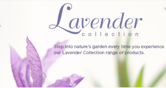 Lavender Collection