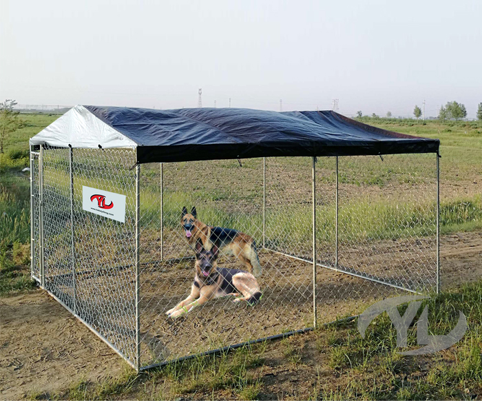 dog-kennel-110749