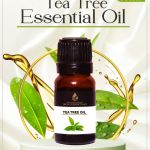 tea-tree-oil-111041
